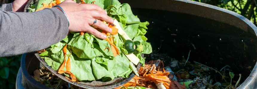 Spreco alimentare-gaspillage-alimentaire-food-waste-bonduelle