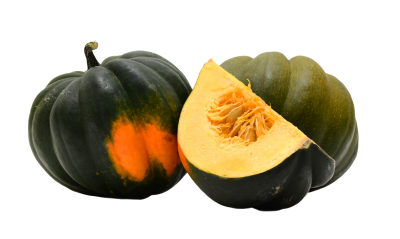 courge-squash-zucca