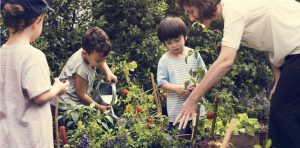 ecole-ete-agriculture-urbaine-montreal