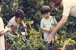 ecole-ete-agriculture-urbaine-montreal