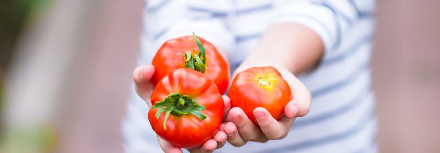 culture-alimentaire-francaise