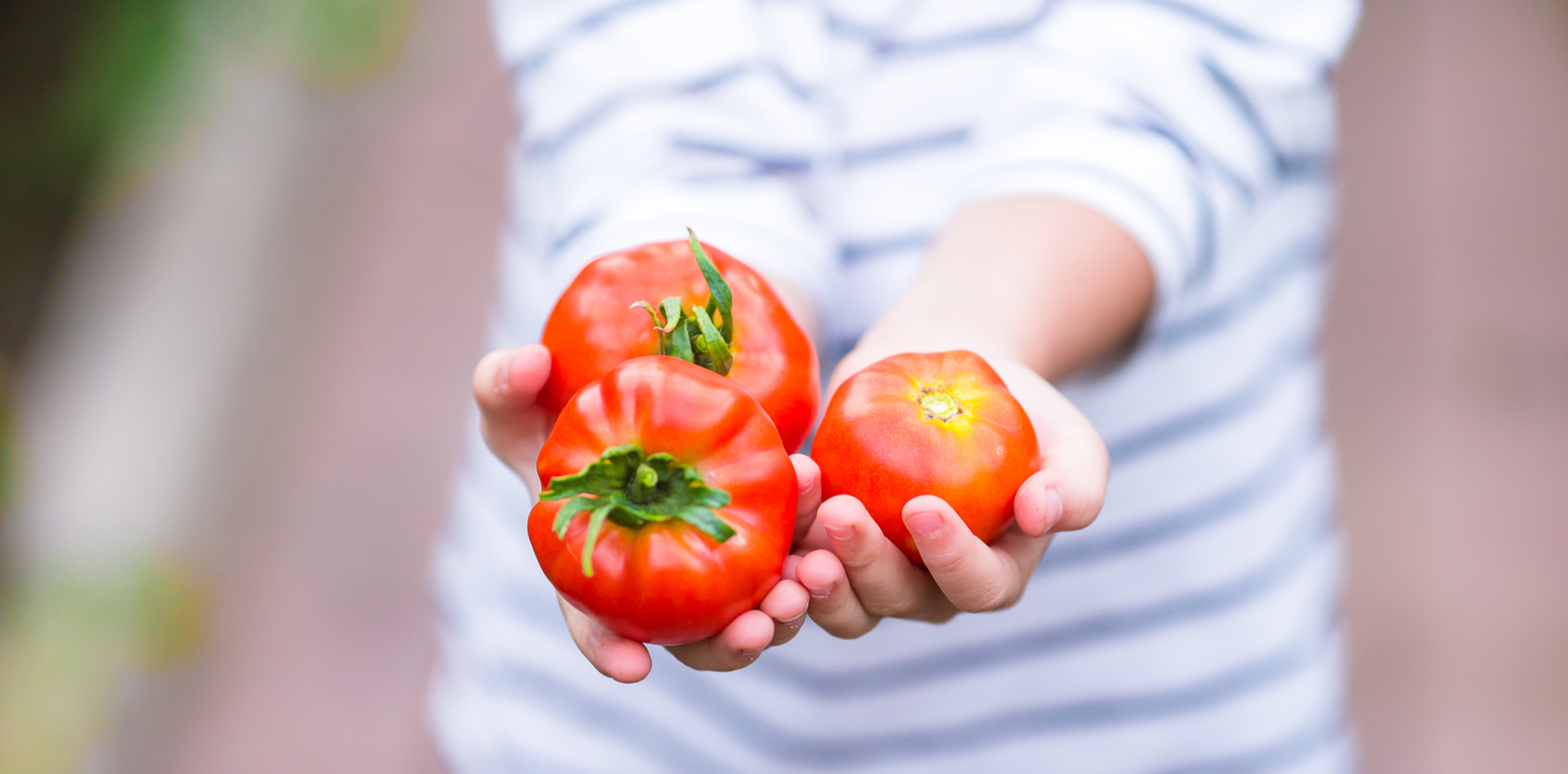 culture-alimentaire-francaise