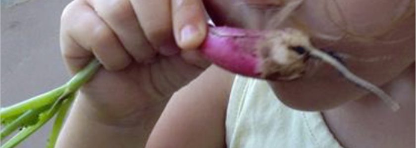 mne-enfant-et-radis-2