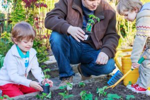 potager-benefique-quartiers-defavorises