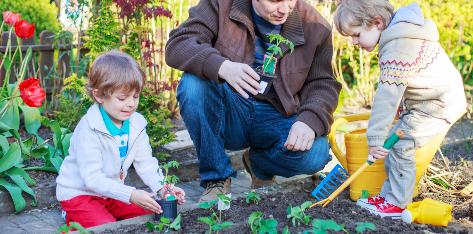 potager-benefique-quartiers-defavorises