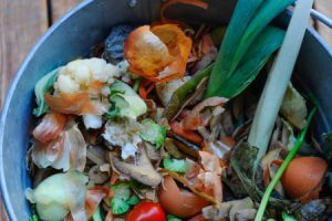 food-waste-challenges-solutions