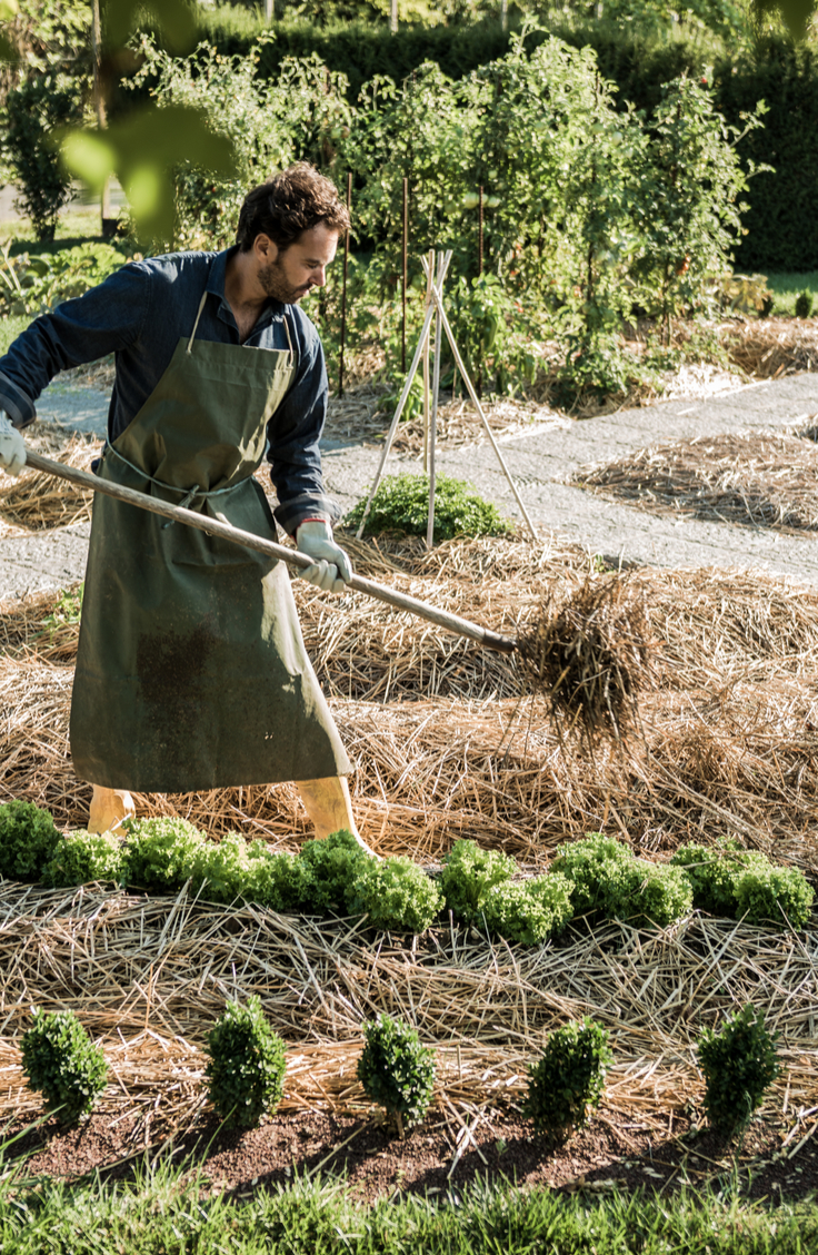 permaculture-potager-agroecologie_4