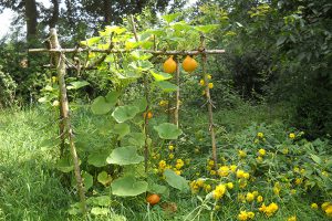 conception-permaculture