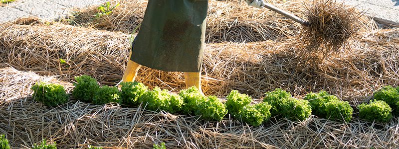 conception-permaculture