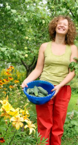 rentabilite-permaculture_3 rentabilite-permaculture_3