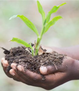 equilibre-alimentaire-par-la-cantine