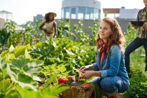 ville-agriculture-urbaine