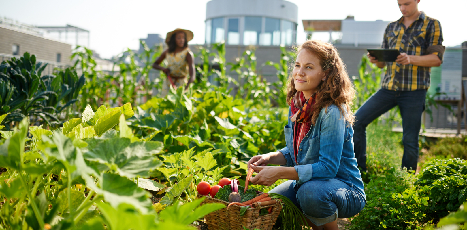 ville-agriculture-urbaine