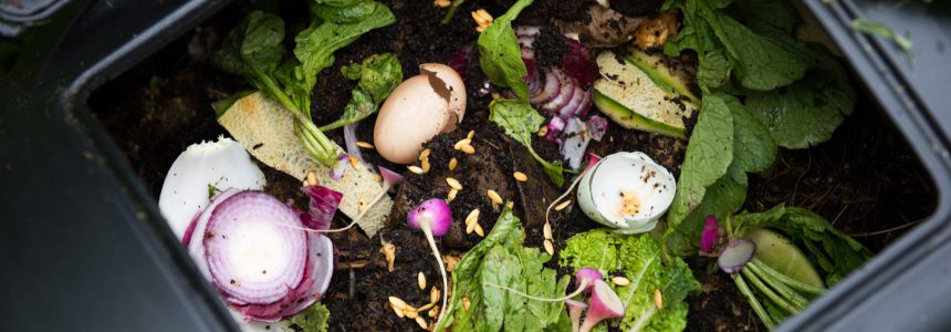 finir-gaspillage-alimentaire