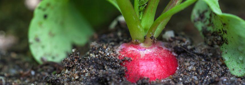 rencontres-2018-orateurs-agriculture-urbaine-julie-legall-christine-aubry