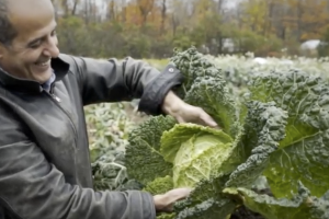 agriculture Montreal farming