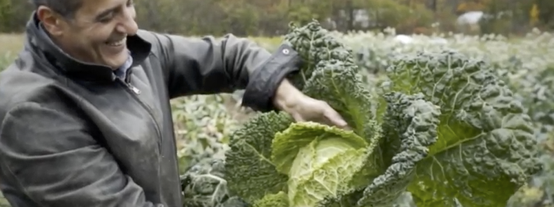 agriculture Montreal farming