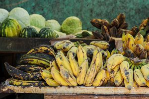 agriculture-urbaine-cuba