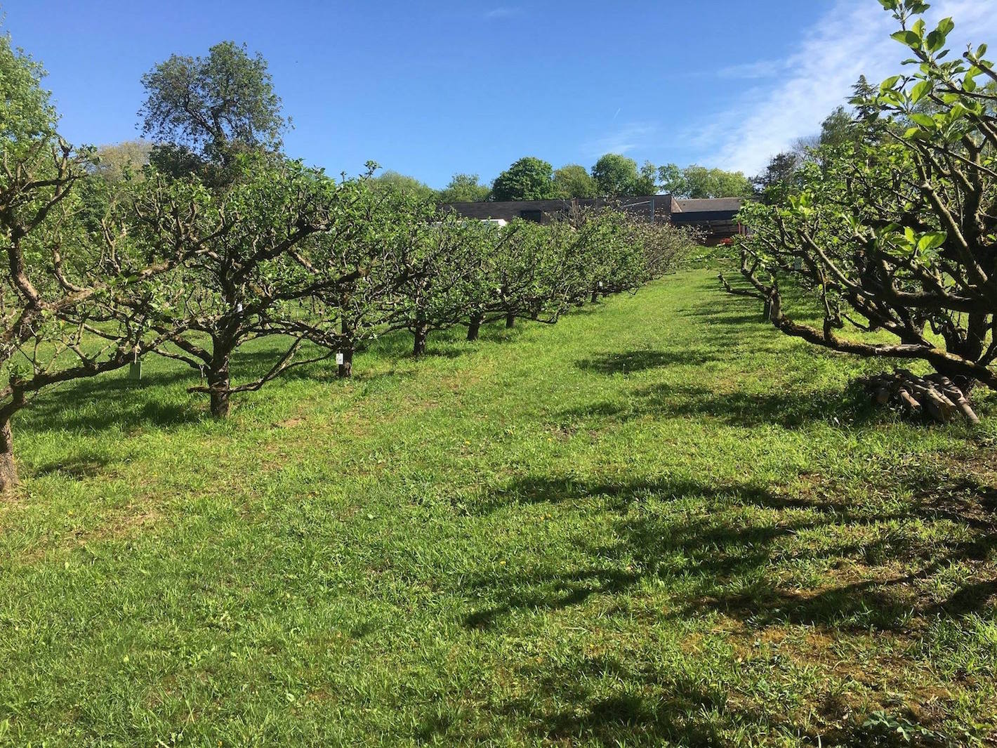 verger-sillery-agriculture-sociale-durable