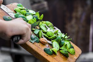 recyclage-dechets-cuisine-compost