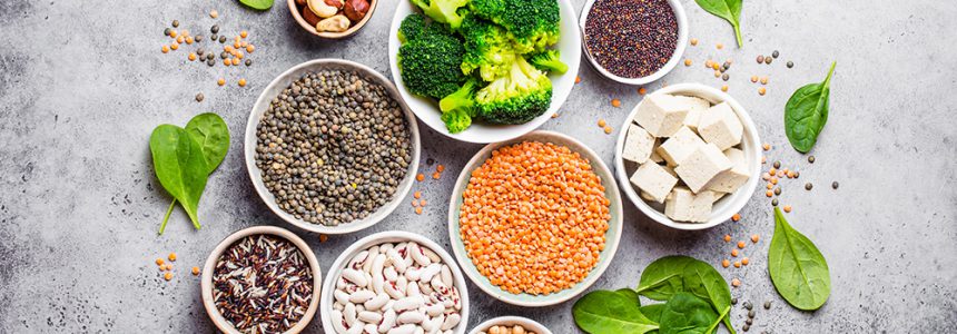 sources-alimentation-vegetarienne-equilibree