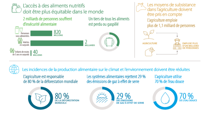 Figure1-la-modification-des-systemes-alimentaires-est-essentielle-au-developpement-durable