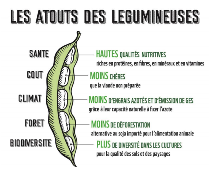 figure2-atoutslegumineuses