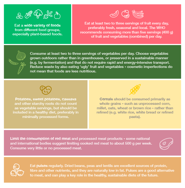 Figure5-WHO-recommandations-healthy-and-sustainable-diet