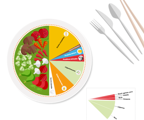 figure5-assiette-ideale