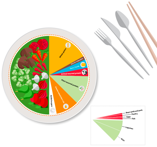 figure5-ideale-plate