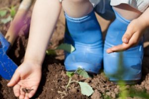 Appel à Projets Fondation Louis Bonduelle et Ulule 2021