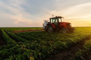 quelle-agriculture-pour-alimentation-durable