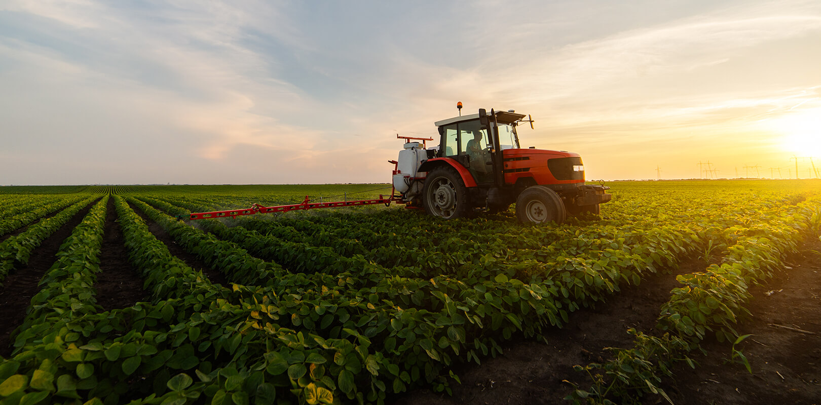 quelle-agriculture-pour-alimentation-durable