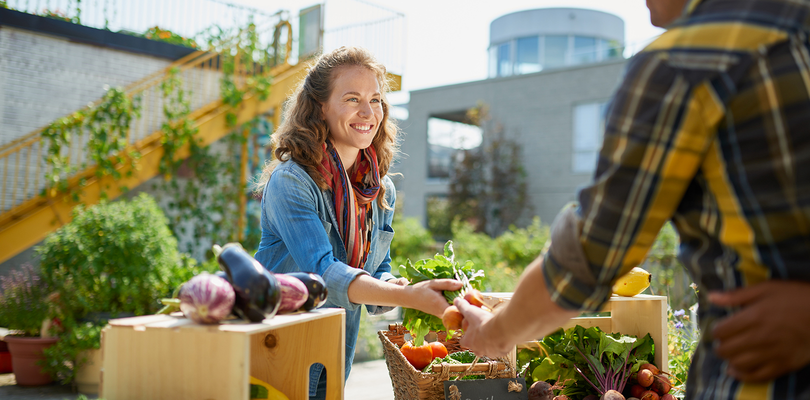 transition-alimentaire-priorite-pour-civilisation