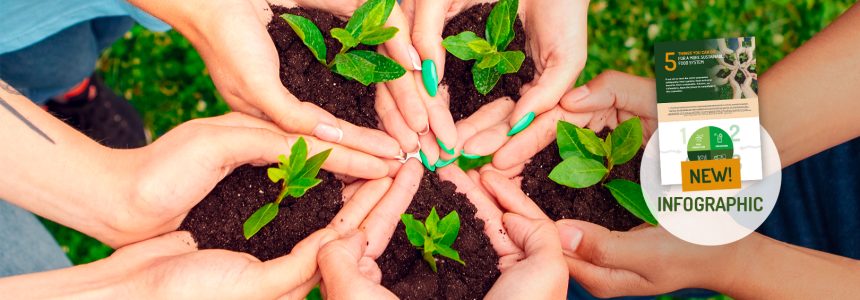 action-for-sustainable-food-systems