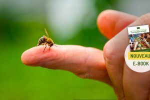 biodiversite-comment-agir-preserver-nouveau