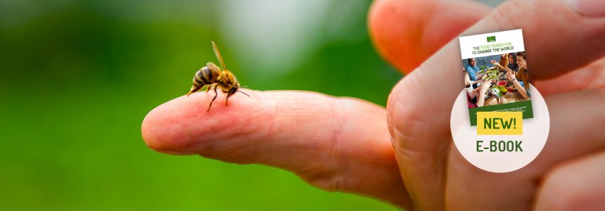 biodiversity-how-to-act-to-preserve-new