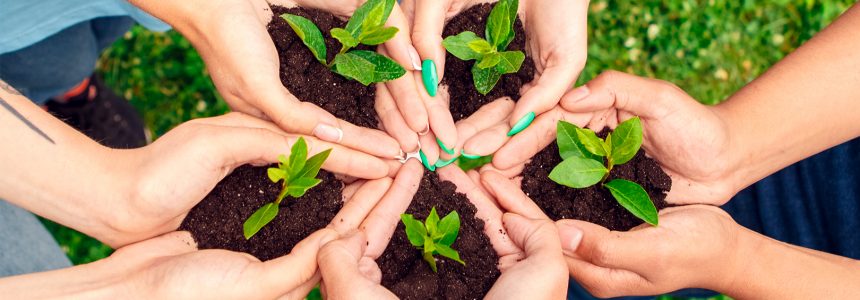 fomentar-sistemas-alimentarios-sostenibles