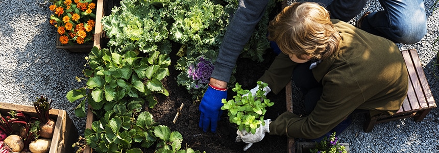 le-vegetal-plus-accessible-que-jamais